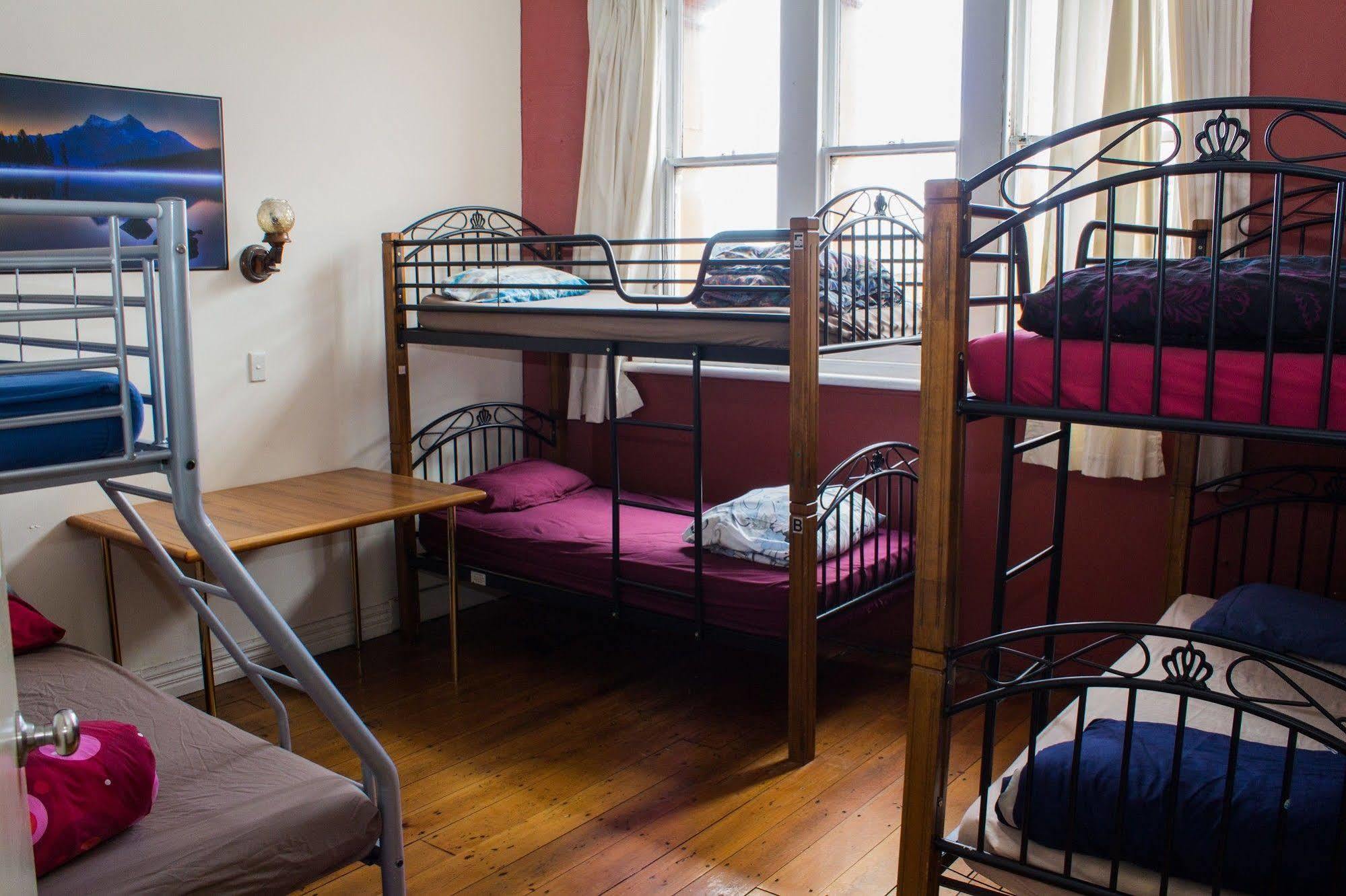 Geeky Gecko Backpackers Hostel Dunedin Exterior photo