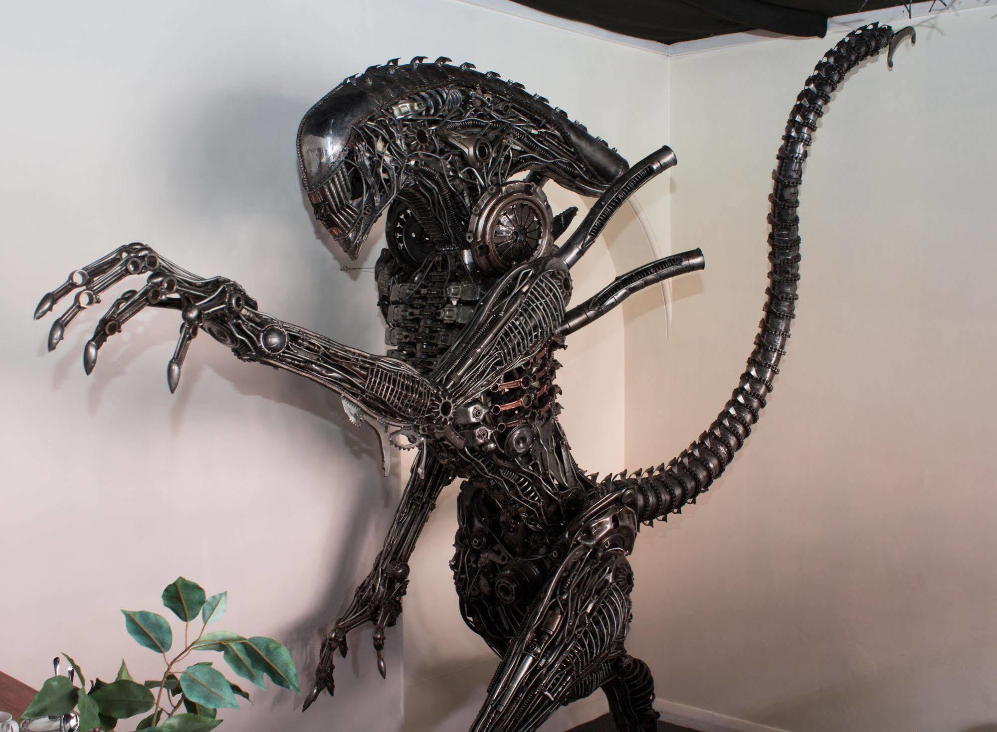 Geeky Gecko Backpackers Hostel Dunedin Exterior photo
