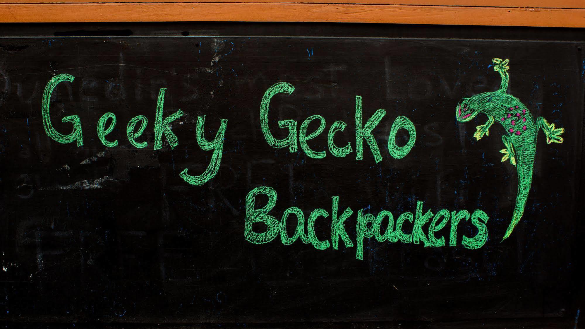 Geeky Gecko Backpackers Hostel Dunedin Exterior photo